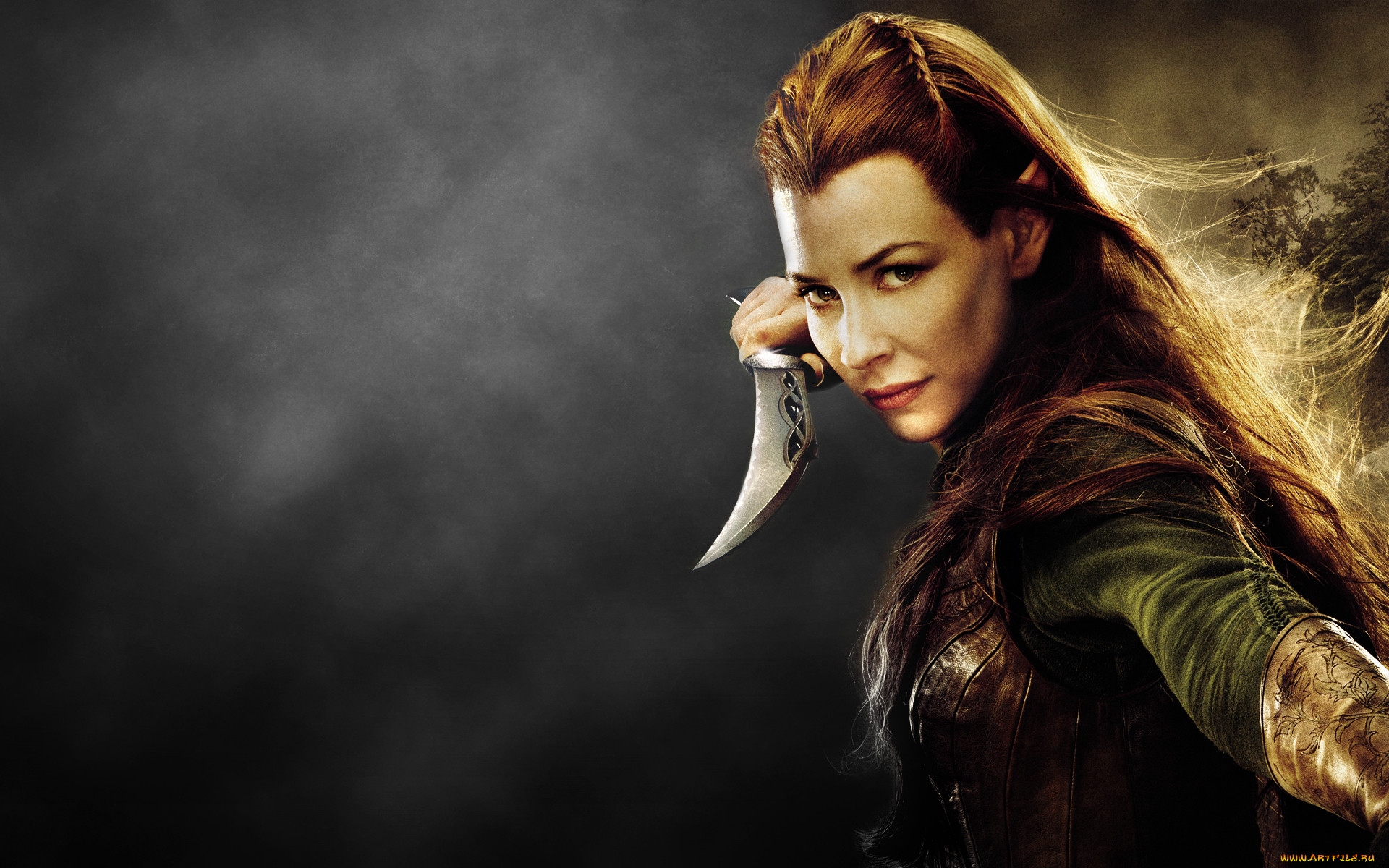   ,  , the hobbit,  the desolation of smaug, , , , the, hobbit, desolation, of, smaug, evangeline, lilly, , 